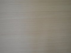 山东胶合板厂家
